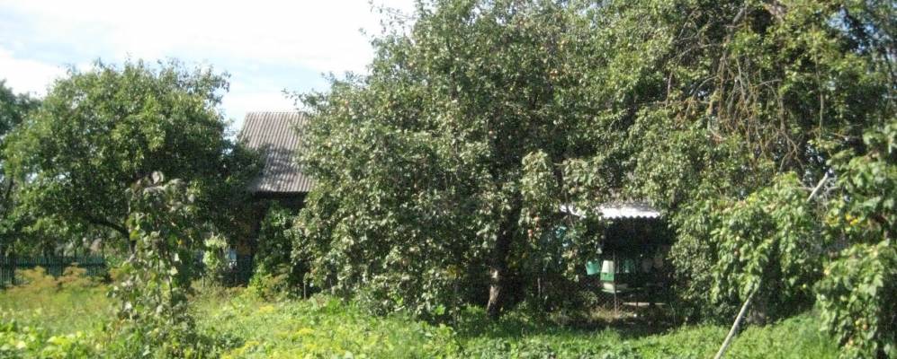 
            Фотография Микулино