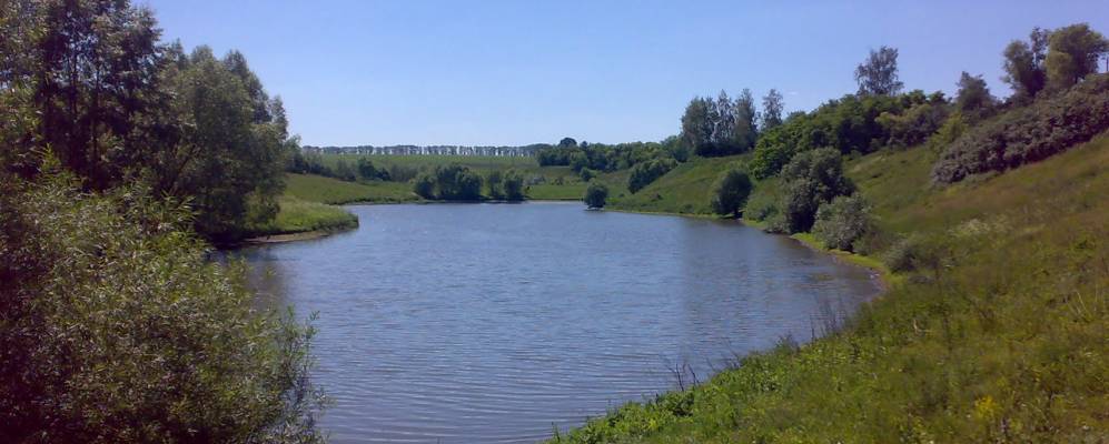 
            Фотография Выдрина