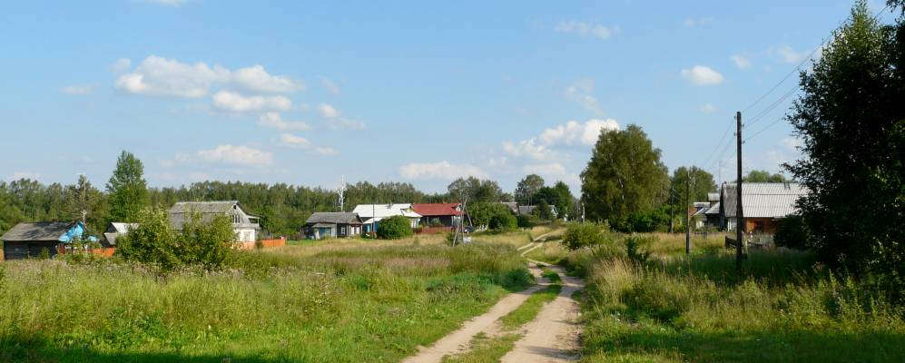 
            Фотография Сильниц