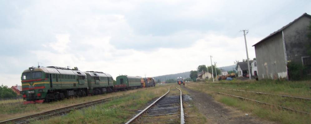 
            Фотография Лужки