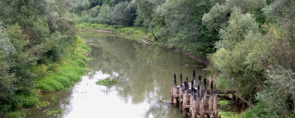 
            Фотография Зверосовхоза