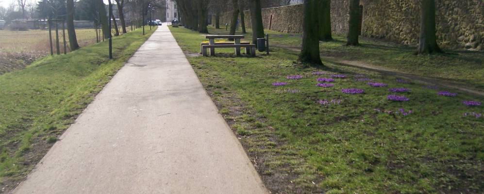 
            Фотография Альтландсберга