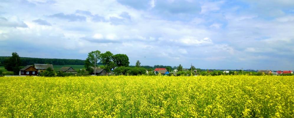 
            Фотография Лисовщины