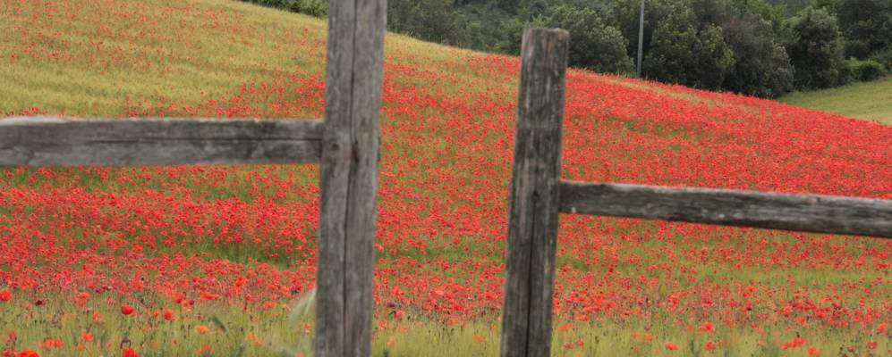 
            Фотография Витербо