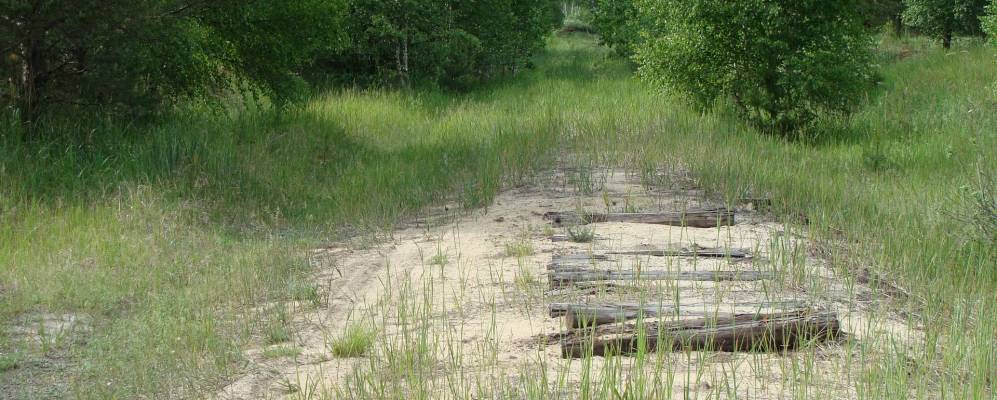 
            Фотография Сокольей Гривы