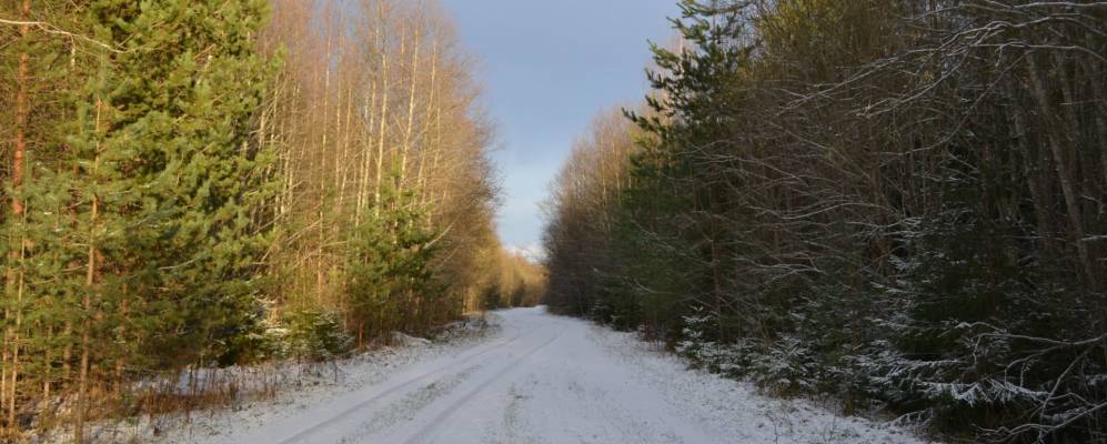 
            Фотография Моисеево