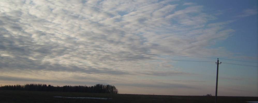 
            Фотография Грязнухи