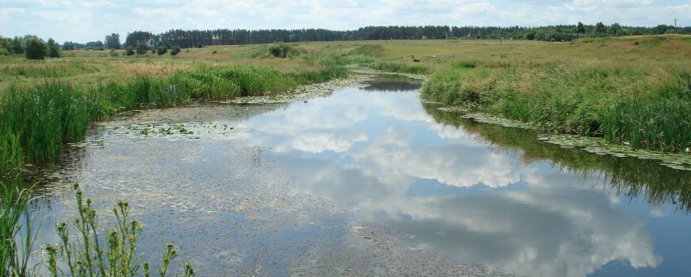 
            Фотография Луки