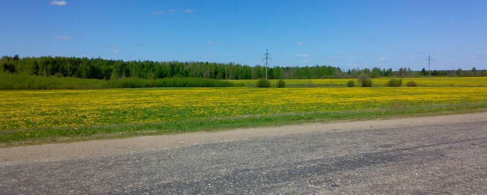 Фотография Карандашей