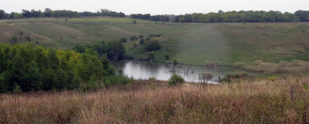 
            Фотография Стукановского