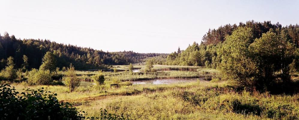 Фотография деревни Стульги