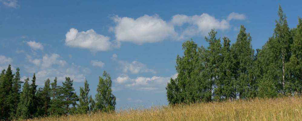 
            Фотография деревни Ключи