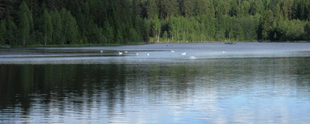 
            Фотография Исуповых