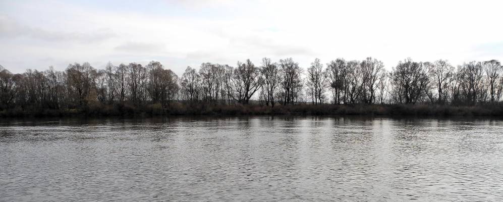 
            Фотография Придеснянского