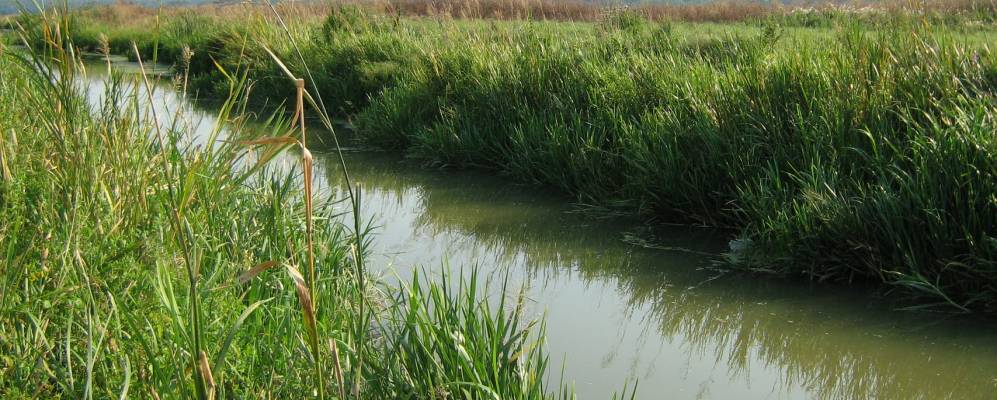 
            Фотография Капустинцы