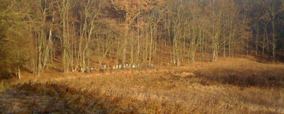 
            Фотография Попувки