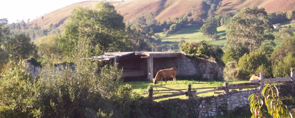 Фотография Ингуансо
