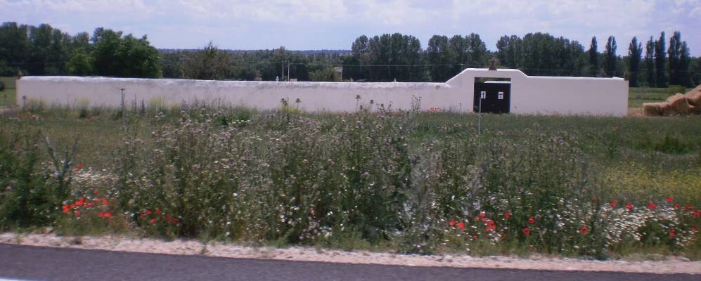 
            Фотография Альменара-де-Тормес