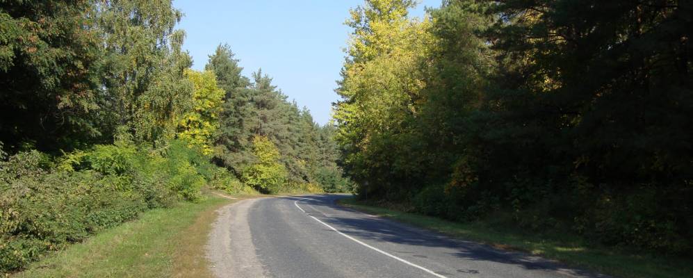 
            Фотография Песковки