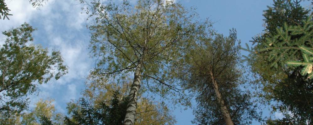 
            Фотография Туркмена