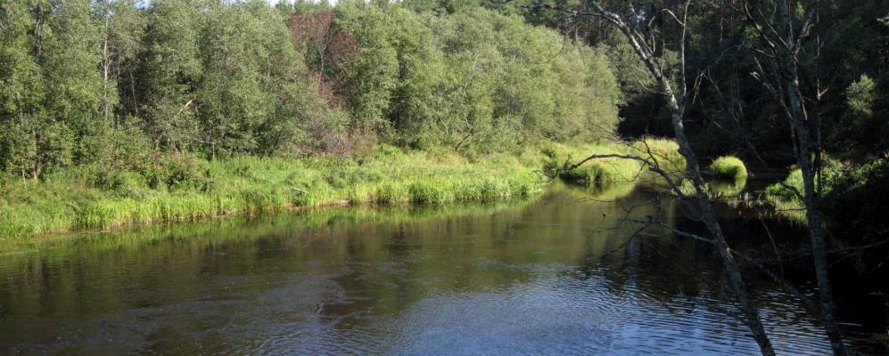
            Фотография деревни Березняки