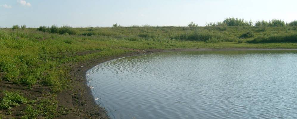 
            Фотография Богородского