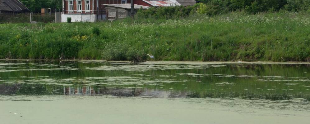 
            Фотография Малышево