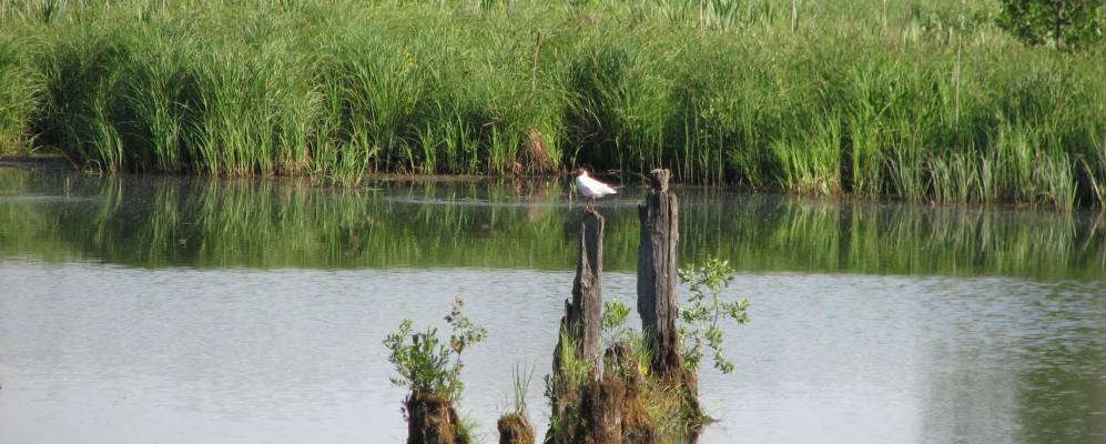 
            Фотография Юркино