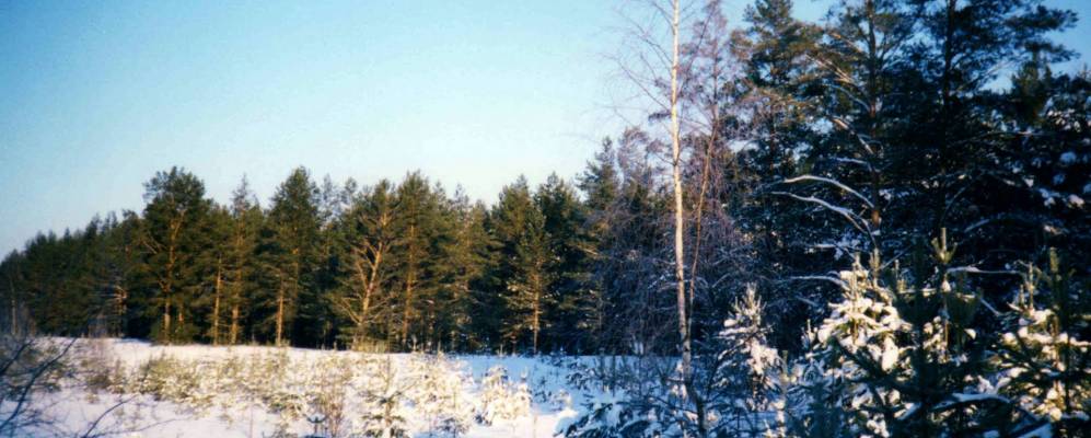 
            Фотография Кемы