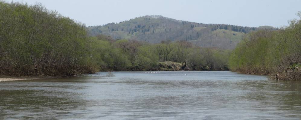 
            Фотография Кириллово