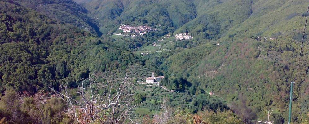 
            Фотография Пескальи