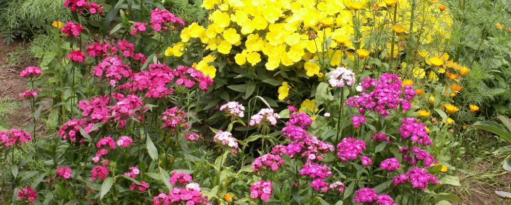 
            Фотография Дуброво