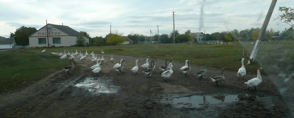 
            Фотография Тонки