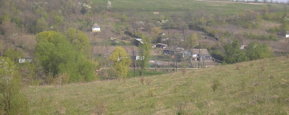 
            Фотография Садовой