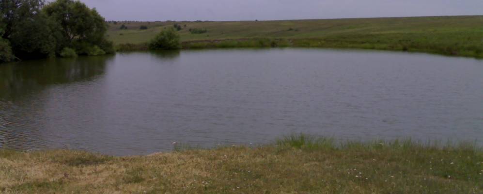 Фотография Илюшкино