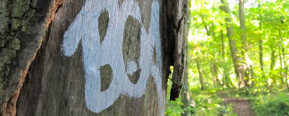 
            Фотография Лонг Аштона