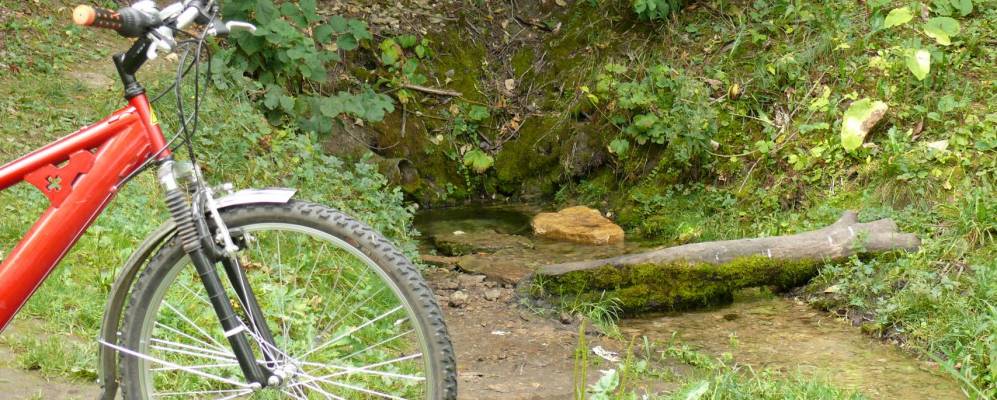 Фотография Малой Рябцева