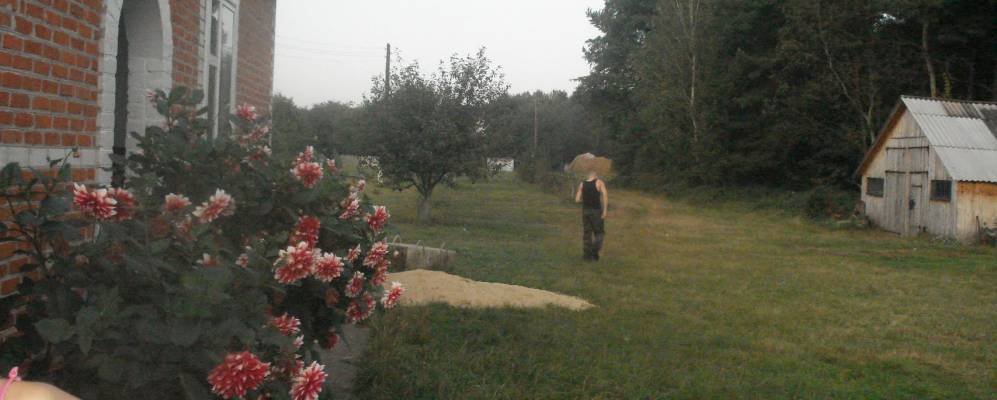 
            Фотография Яревища