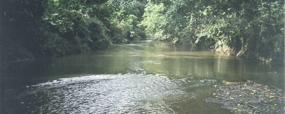 
            Фотография Мария ла Бахы