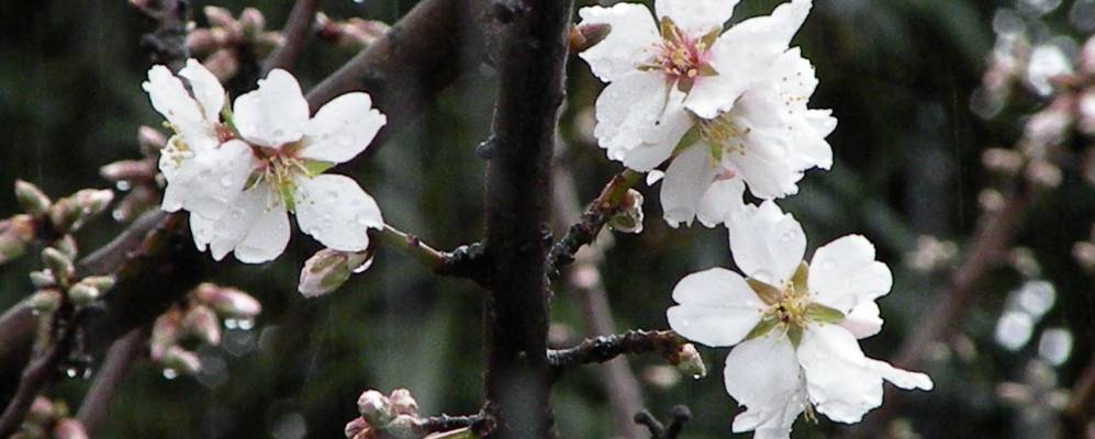 
            Фотография Ист Портервилла