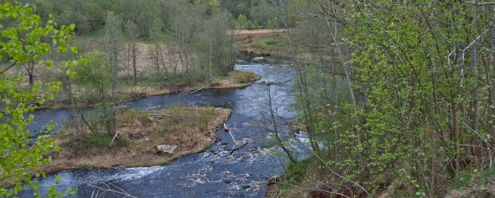 
            Фотография деревни Починки