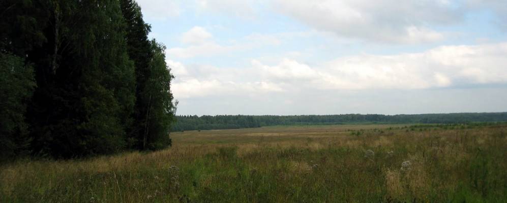 
            Фотография Куркино