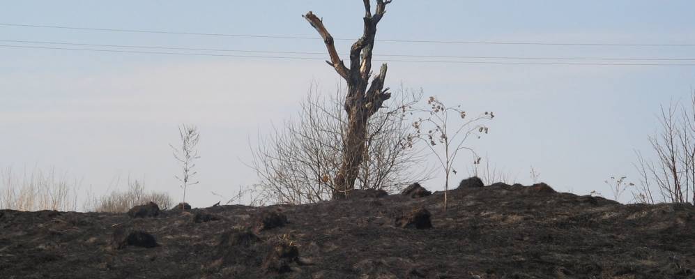 
            Фотография Мыльнища