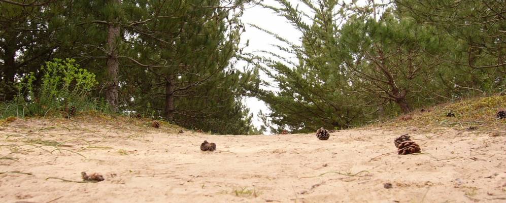 
            Фотография Нотр-Дам-дё-Мона