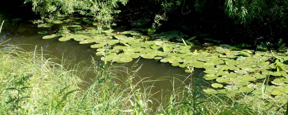 
            Фотография Овчинниковы