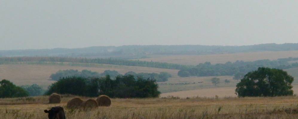 
            Фотография Красавки