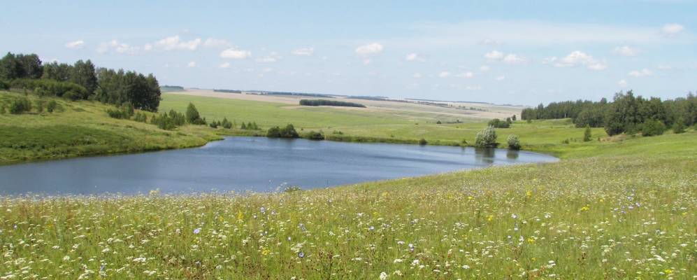 
            Фотография Пушкино