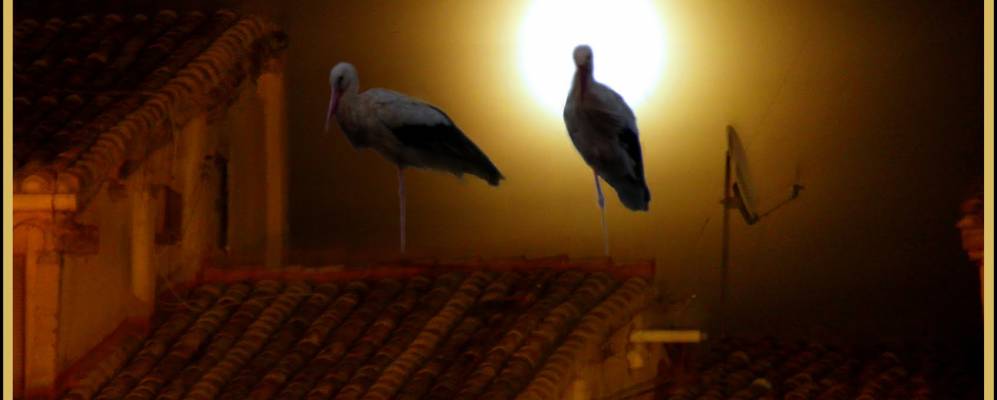 
            Фотография Логроньо