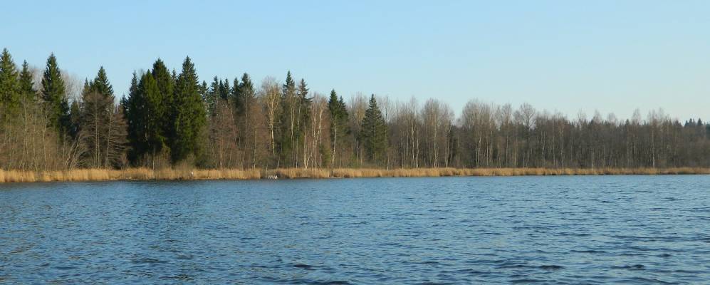 
            Фотография Кулешовки