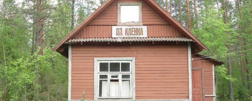 
            Фотография Кленно